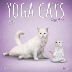 Browntrout Yoga Cats Kalender 2025 16Måneders