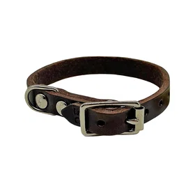 Alac Leather Collar