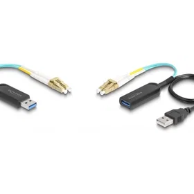DeLock 66466 USB-A - USB-A 100 m pidentys