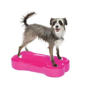 FitPAWS K9FitBone 58x25x10cm