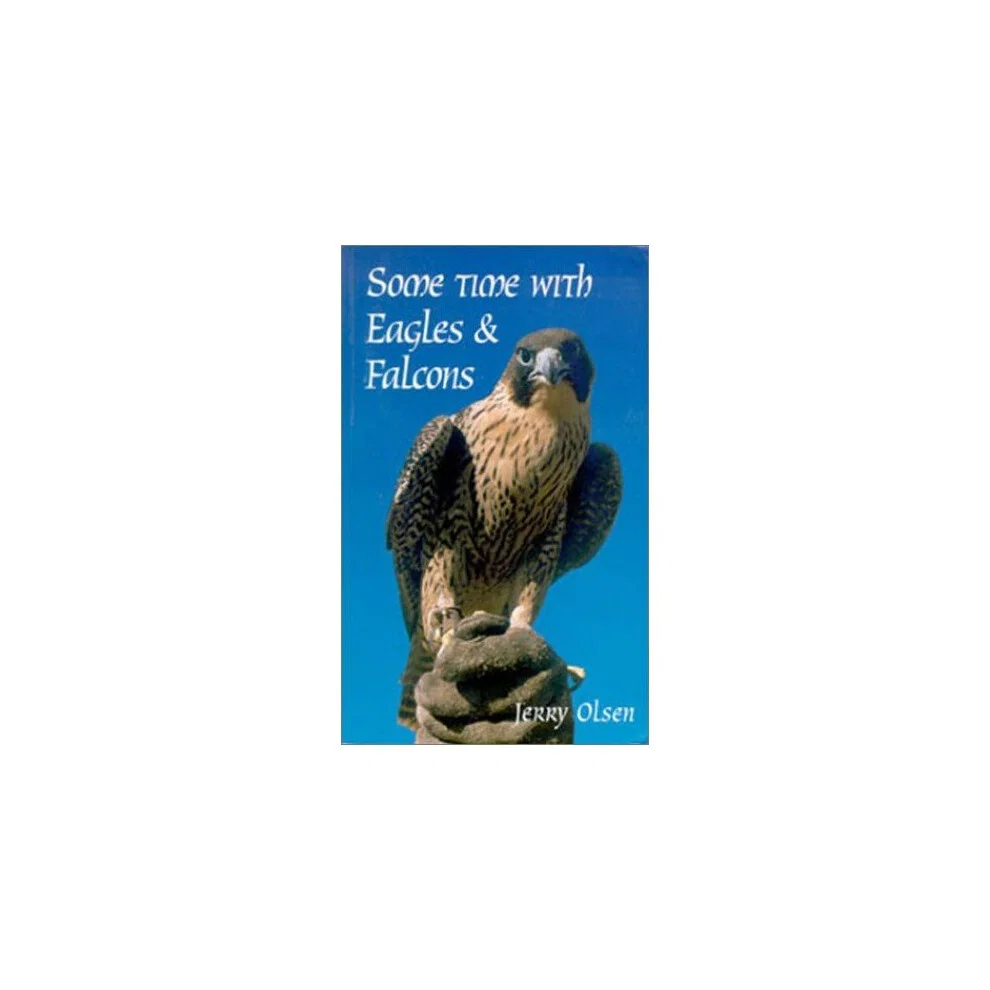 Some Time with Eagles and Falcons Paperback