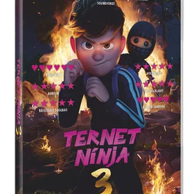 Ternet Ninja 3 (DVD)