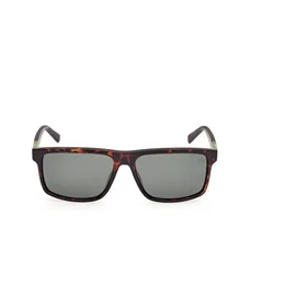 Timberland TB00008 Polarized