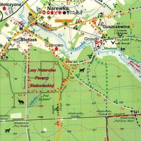 Cartomedia Turistkarta Białowieża Skog 1:50 000 Hajnówka till Wiskule