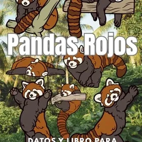 Pandas Rojos Datos Y Libro Para Colorear för barn